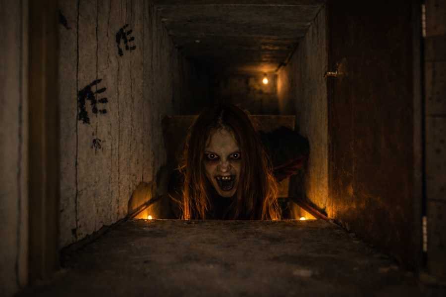 Квест в реальности Дом ведьмы от компании Кьюббикс Квест в реальности Дом ведьмы от компании Кьюббикс