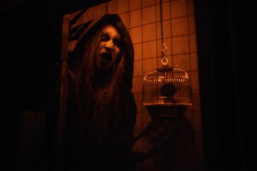 Квест в реальности Дом ведьмы от компании Кьюббикс Квест в реальности Дом ведьмы от компании Кьюббикс